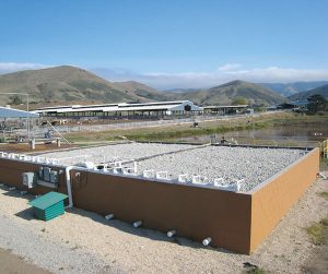 California Polytechnic State University natural wastewater treatment system.