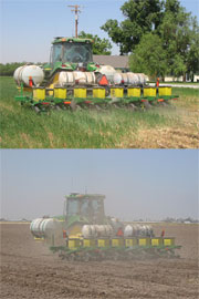 Conservation tillage (top) vs. standard cultivation.