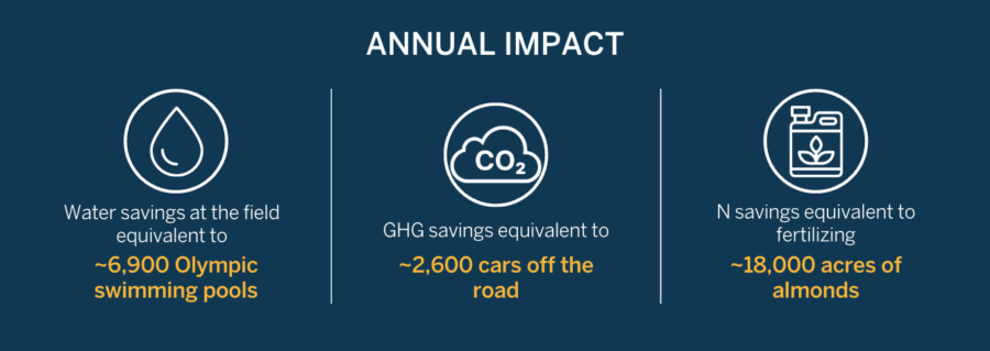 msdi annual impact 2024 annual report