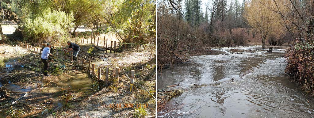 Miners Creek before and after