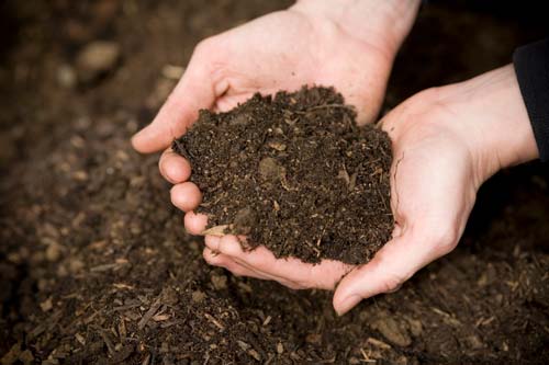 Photo of holding compost