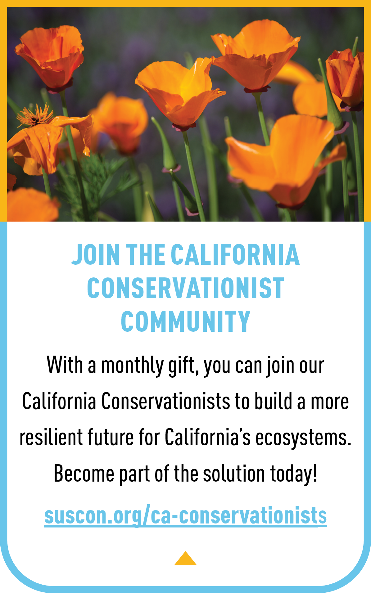 California Conservationist
