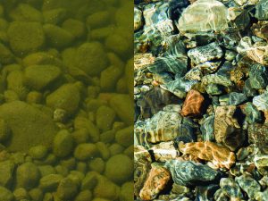 Without vegetation to hold it back, sediment from farms and other private lands can escape into nearby waterways, harming water quality and fish habitat (top). Planting trees and other types of vegetation along rivers and streams keeps soil in place, water clean and aquatic wildlife healthy.