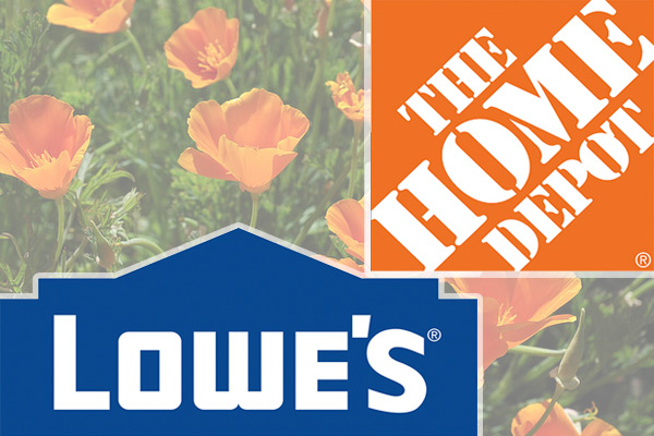 Press Release: Lowes Moore, our Executive Director of Development