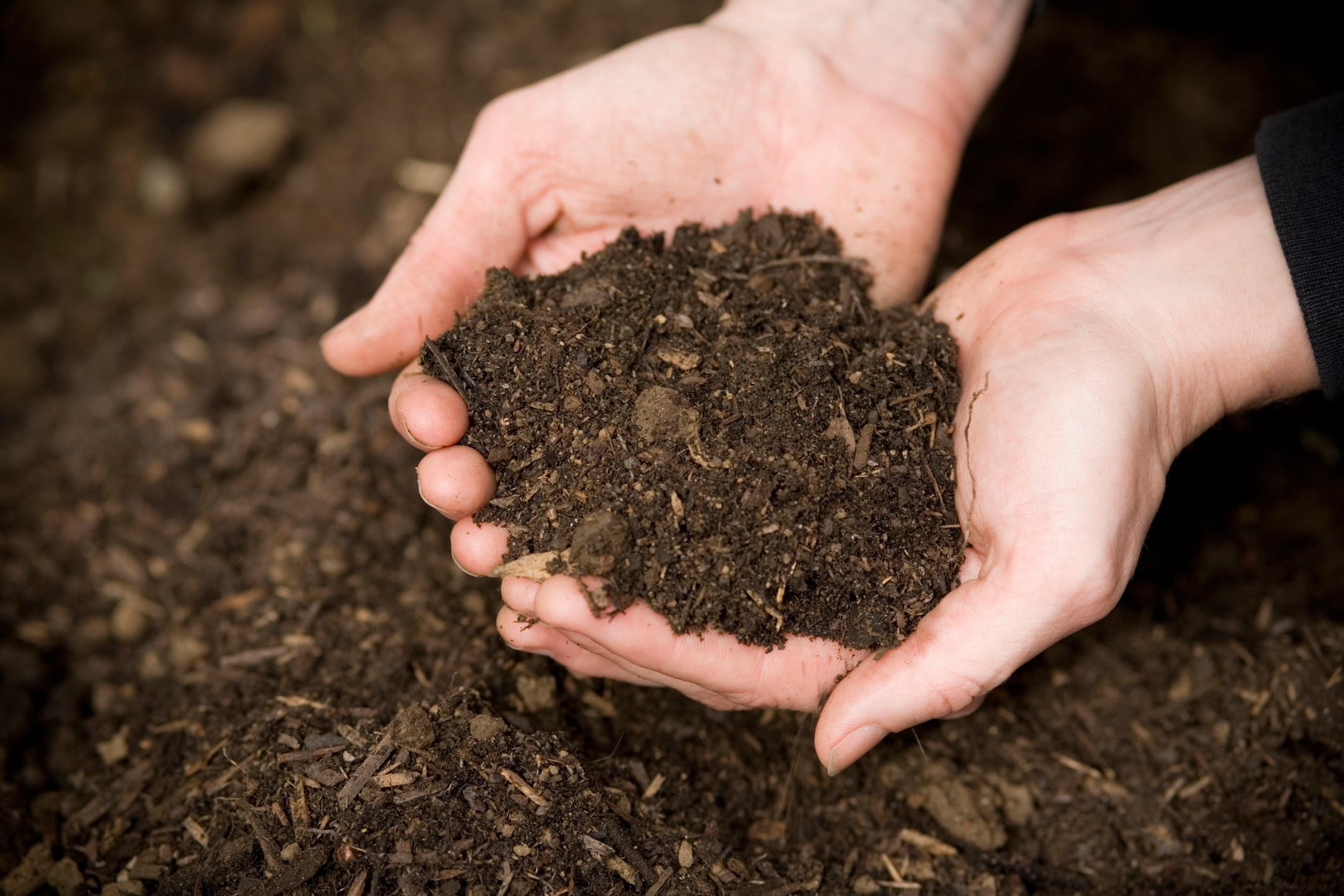 How to Make Compost at Home - The Conservation Foundation