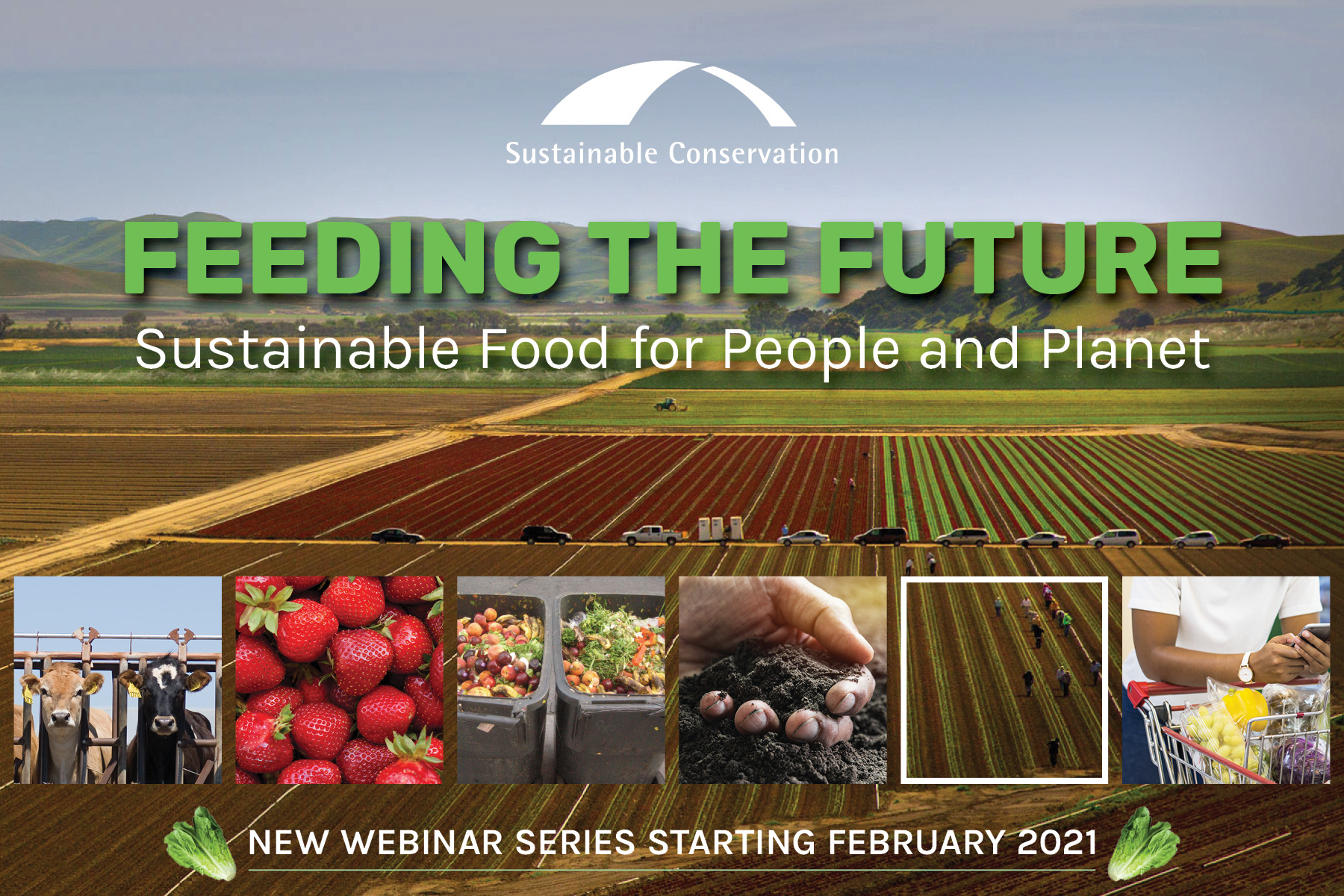 Feeding the Future webinar series