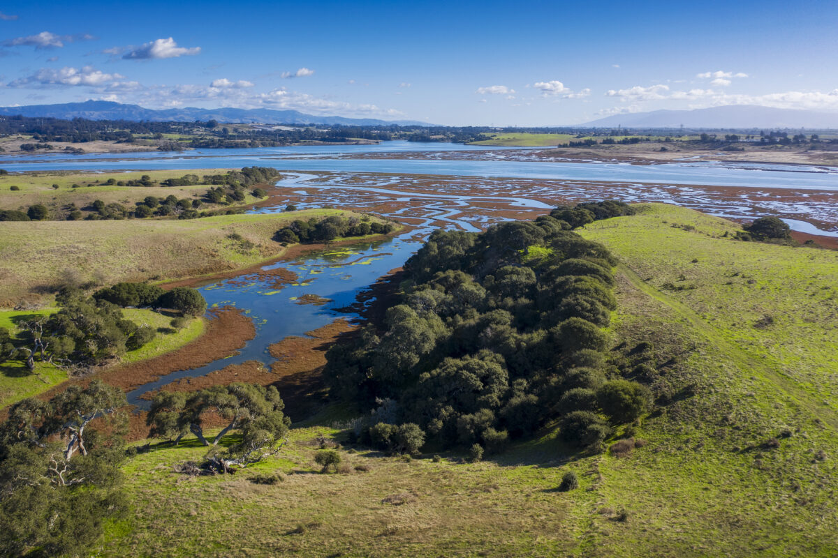 A Legacy of Impact: 30 Years on the Central Coast | Sustainable ...