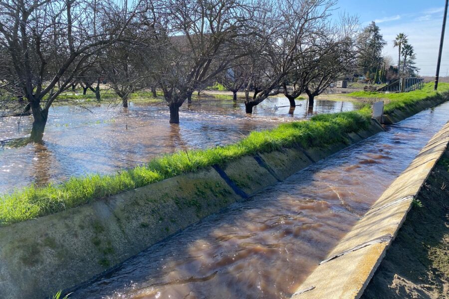Water flows down a canal and through a gate to flood an almond orchard during a recharge event.