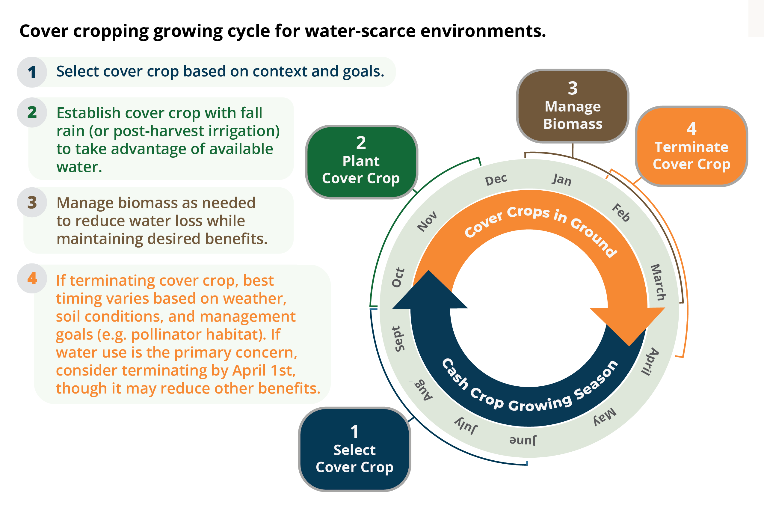 farmer guidance cover crop cycle