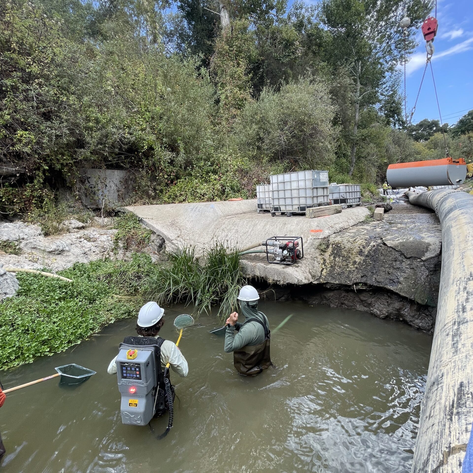 Restoration Round-Up: Arroyo Grande Creek Stream Gauge Modification Project