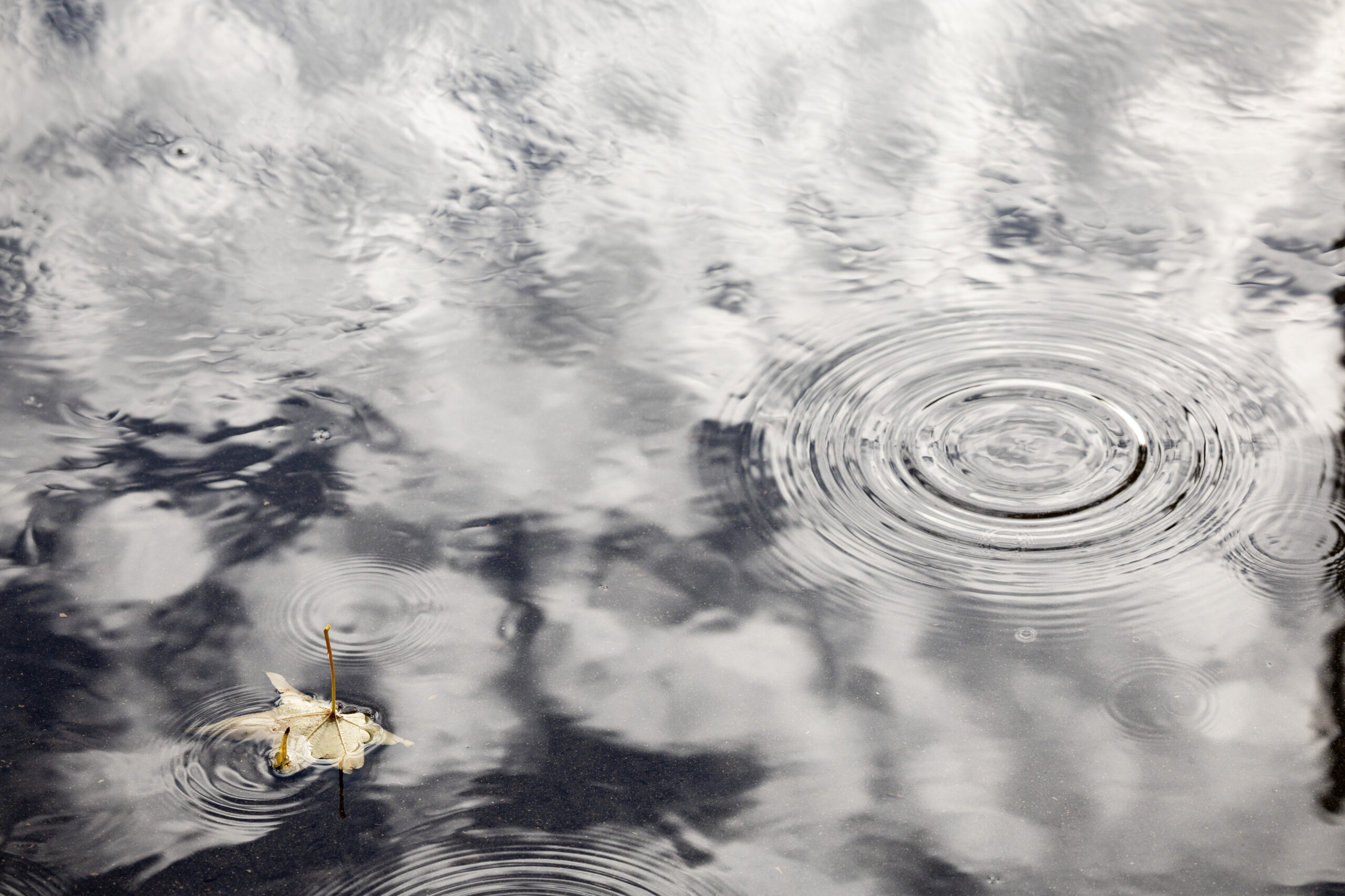 Sustainable Conservation’s Hopes for Water Year 2026