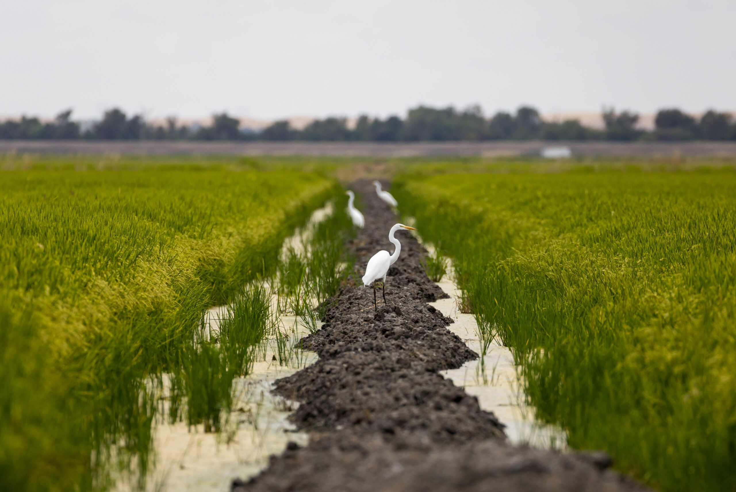 2024_08_23_XM_0526_DRA_Groundwater_Well_Run