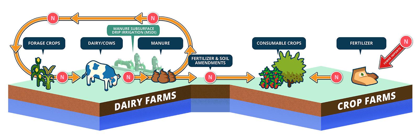 A nitrate cycle in which fertilizer and soil amendments go from the dairy farm to the crop farm and fewer imports are needed.