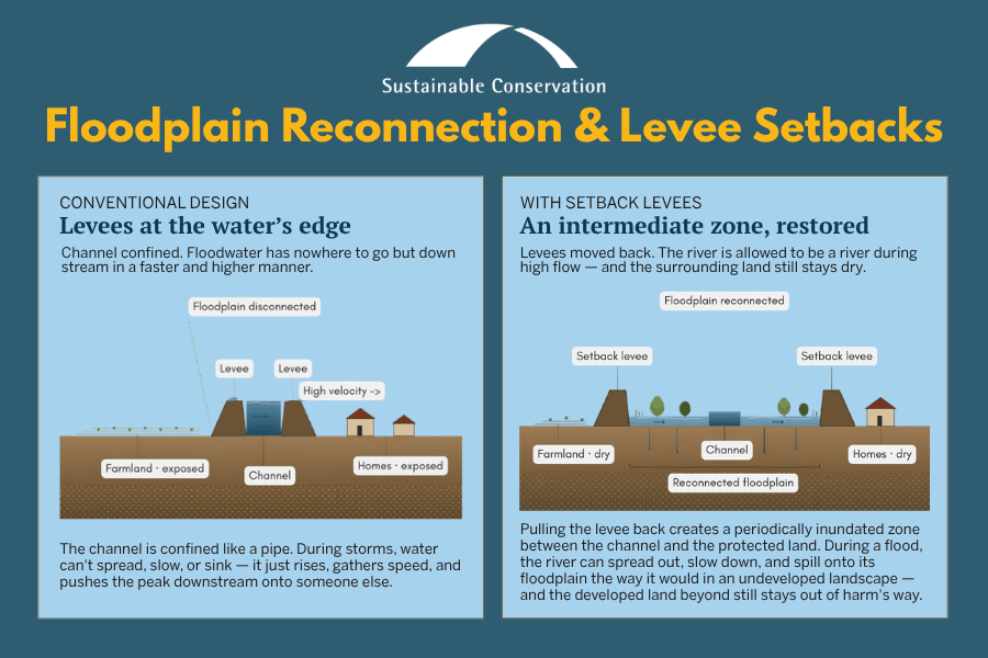 floodplain-reconnection-graphic Graphic explaining floodplain reconnection and restored natural water flow between a river and floodplain.