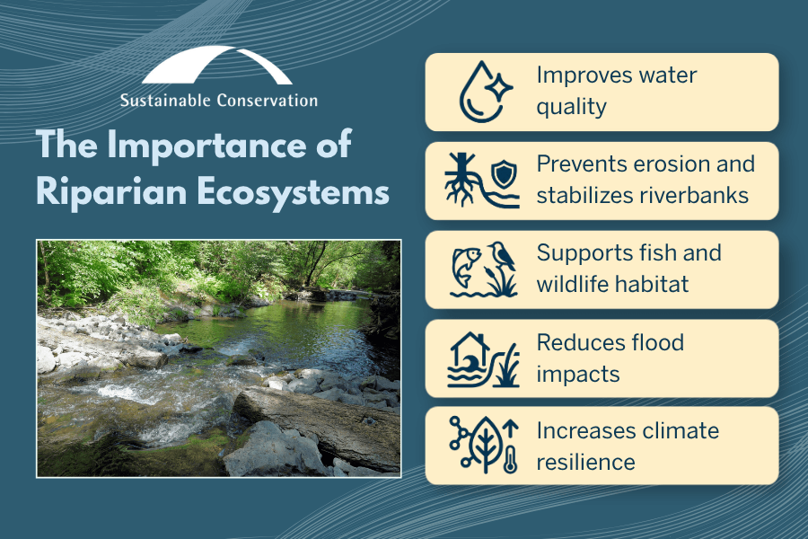 importance-of-riparian-ecosystems Graphic showing five important functions of riparian ecosystems.
