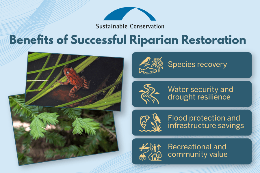 riparian-restoration-benefits-graphic Five benefits of successful riparian restoration.