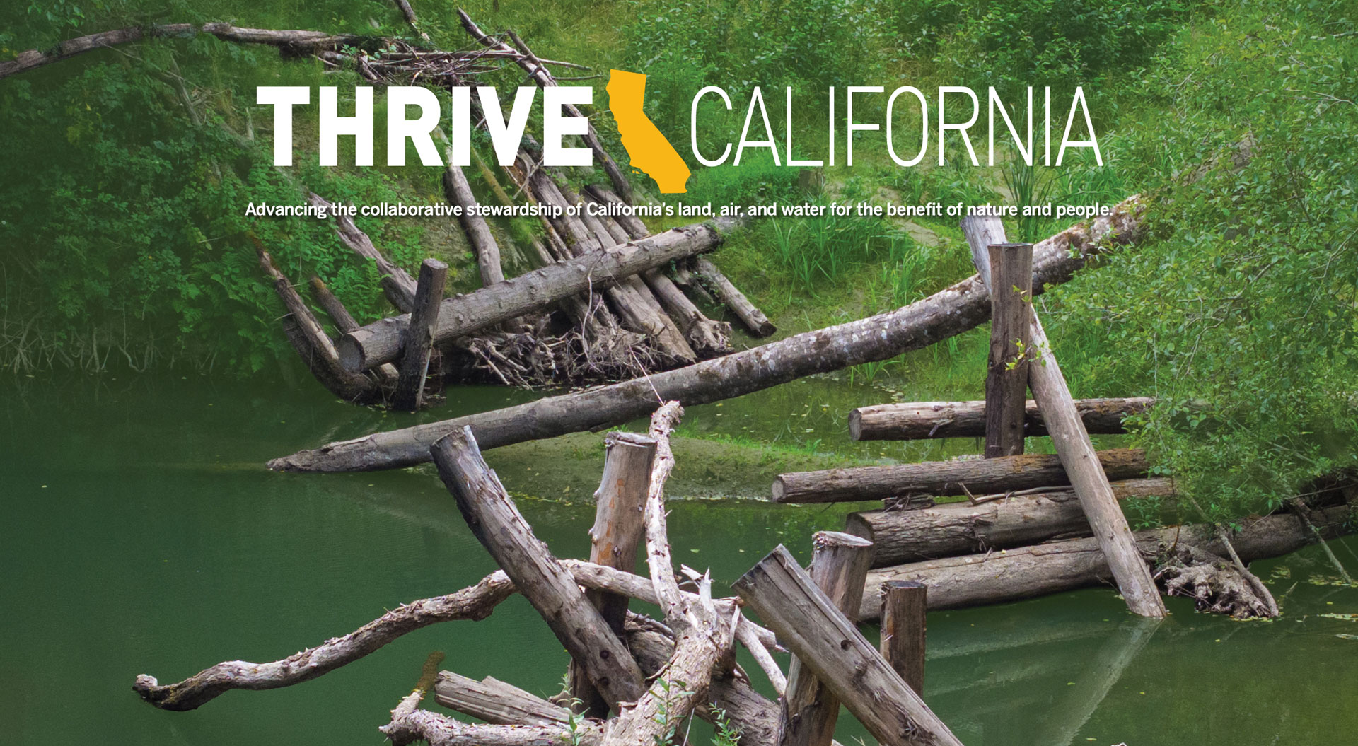 Thrive-California-Spring-2026-Newsletter-05-26-2026_09_56_AM (1)