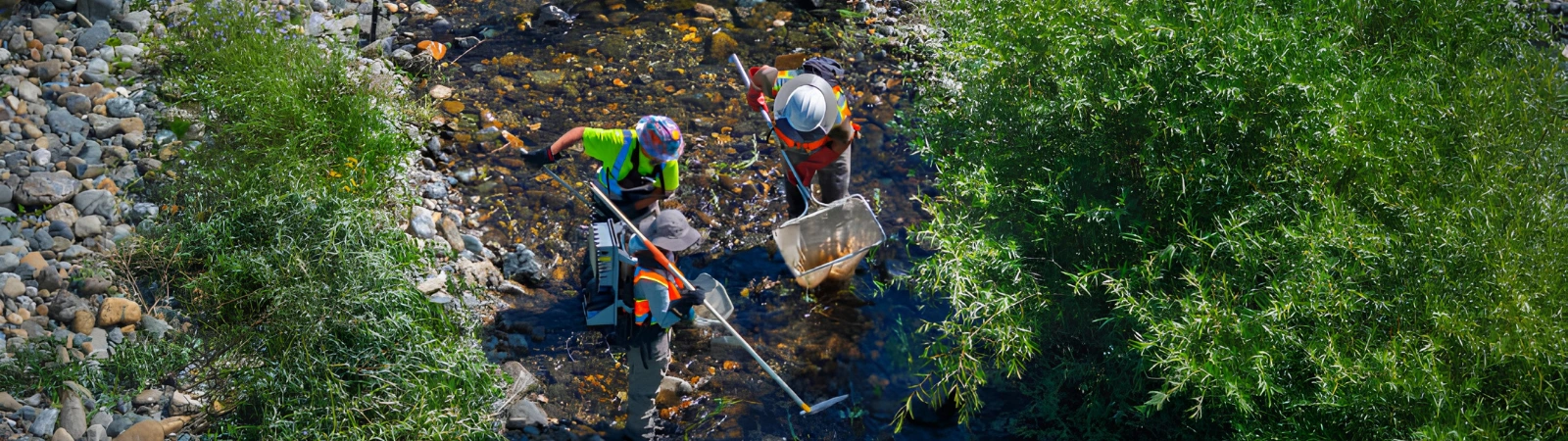 habitat-restoration-project Sustainable Conservation habitat restoration project in a natural landscape.