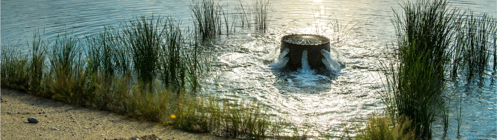recharge-pond Groundwater recharge project by Sustainable Conservation in action.